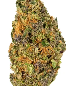 Cherry Gorilla