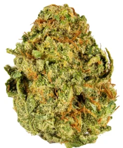 Lemon Gorilla